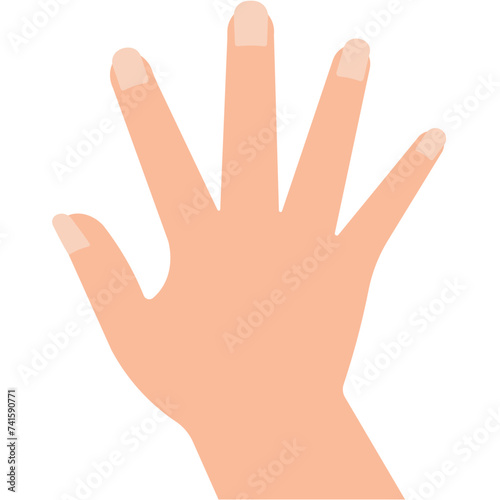 hand