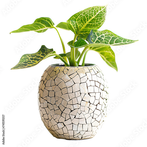 Decorative Mosaic Plant Pot with Green Leaves Isolated on White Background 