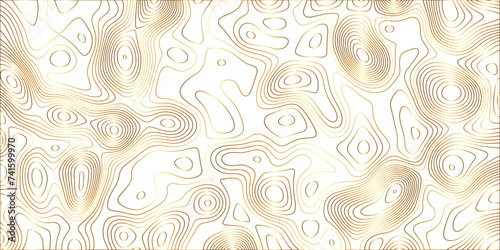 gold wave paper curved reliefs mount map abstract background, Abstract topographic contours map background, Topography map background. Vector geographic contour. Metal plates concept. 3D origami .
