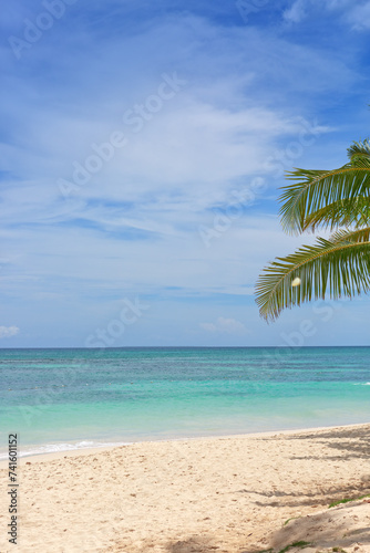 Tropical palm trees on the Caribbean beach and blue sky background.