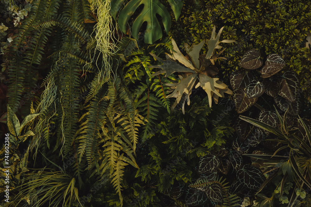 Fototapeta premium Group background of dark green tropical leaves ( monstera, palm, coconut leaf, fern, palm leaf,bananaleaf) background. concept of nature 