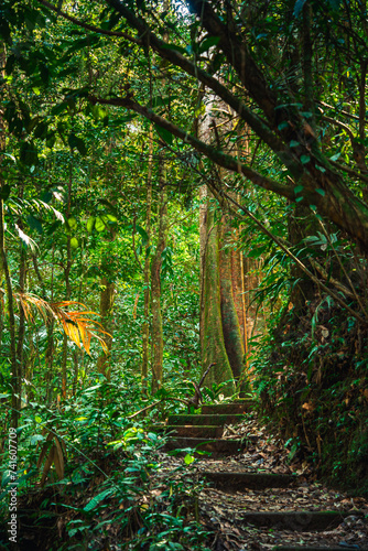 El Arenal National Park  Costa Rica