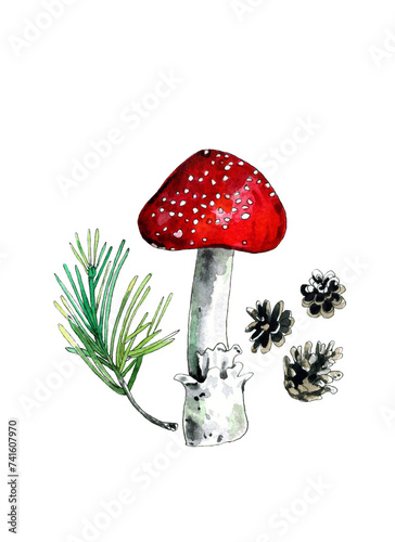 Fly agaric mushroom with spruce cone, pine needles twig in autumn forest. Amanita muscaria, watercolor illustration isolated hand-drawn on white background.