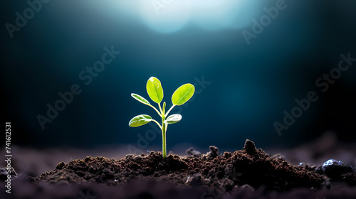 Planting young trees sprouting in soil on green background network and connection concept