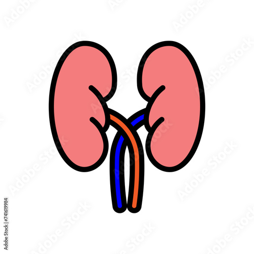 Kidneys Filled Style