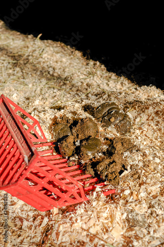 
shavings fork picking up pile of horse manure in stall bedded with wood shavings vertical equine horse keeping image with room for type red shavings fork farm equipment or tool for mucking stalls
