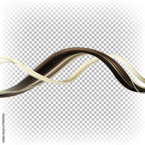 A strand of dyed hair. Gray, brown, blond hair. Vector 3D illustration isolated on transparent background.