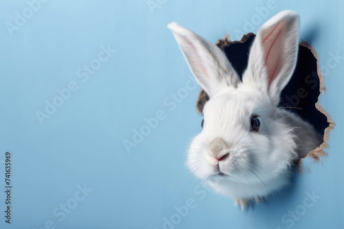 Cute white bunny peeking out of a hole in blue wall. Pastel blue color background for your text. Generative AI © Yaroslav