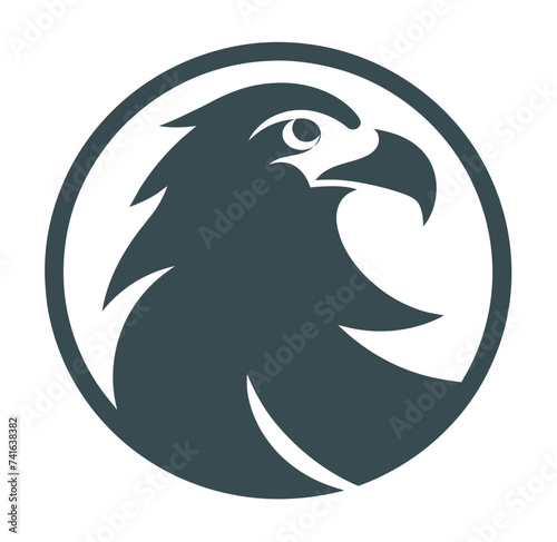 striking eagle head logo on a sleek black background