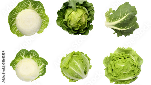 Escarole Leafy Greens in Detailed 3D Rendering, Isolated on Transparent Background - Perfect Ingredient for Fresh Salads and Vegetarian Dishes, Top View Flat Lay Illustration