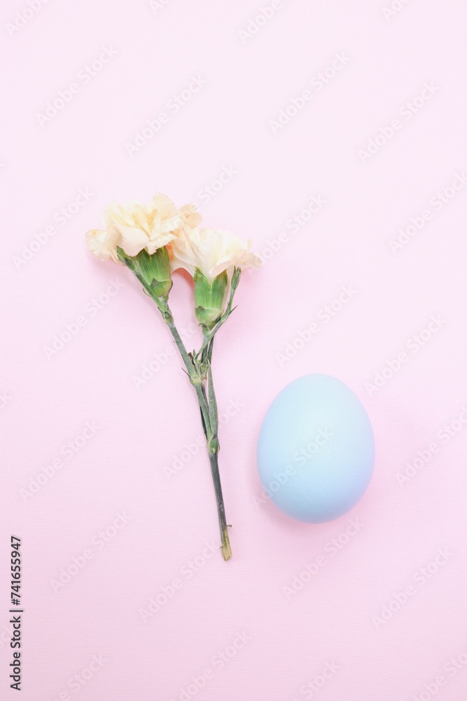 Easter decoration with blue colored egg and carnation flower on pink background 