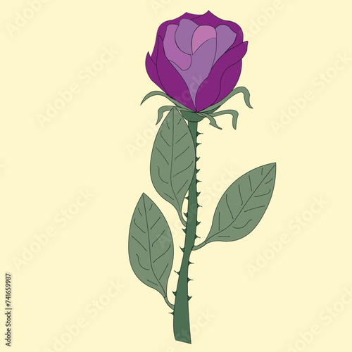 Beautiful rose, one copy. A flower with thorns, has a stem on which petals and leaves grow.