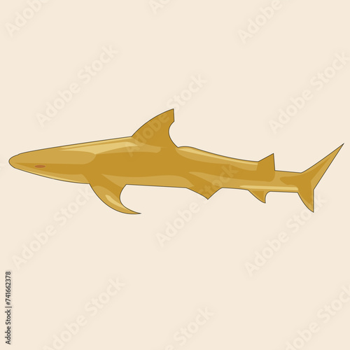 Shark, a predator fish, swims underwater and hunts other fish. The mammal is drawn from a side view.