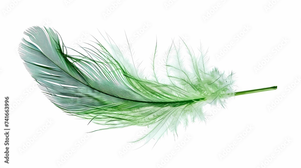 Obraz premium bird feathers background pattern, banner, wings background picture, seamless background