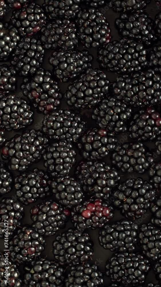 Top view of fresh black blackberry rotate in circle. Fruits berry background close up. Harvesting, agriculture. Vertical shot Top view of fresh black blackberry rotate in circle. Fruits berry background close up. Harvesting, agriculture. Vertical shot