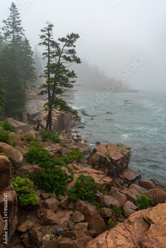 Thunder Hole, Acadia National Park, Maine. Foggy, rainy natural rock inlet where waves crash. Emerald Atlantic Ocean waves on red granite rocks, ocean cliffs. 