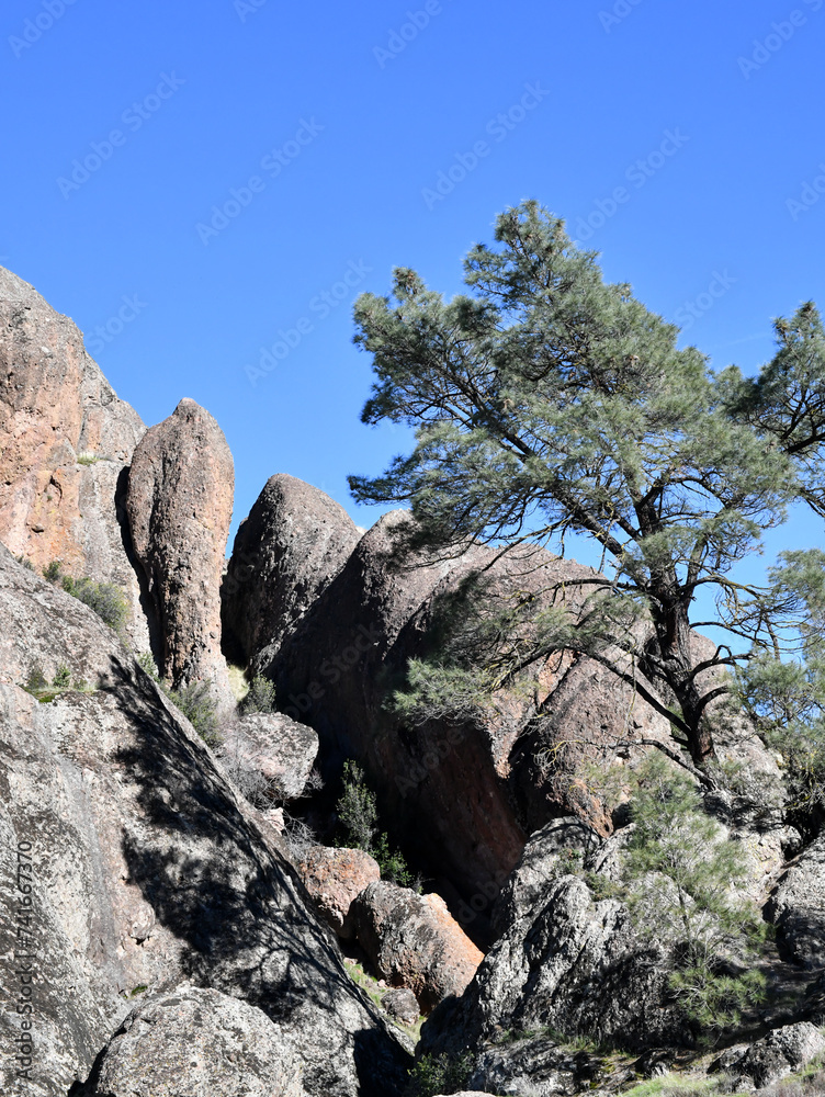 Rock formation mountain with trees and blue sky Rock formation mountain with trees and blue sky