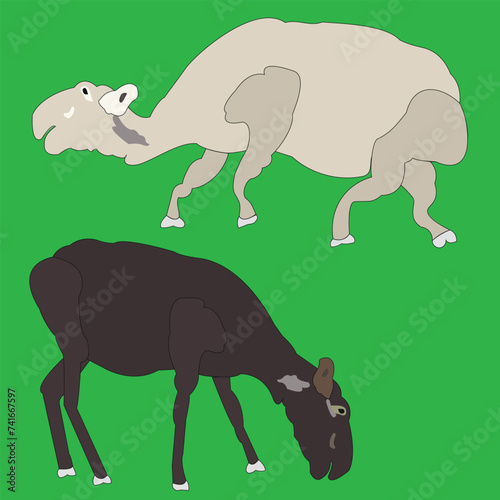The young moose is drawn in two versions. Animals are depicted from the side  in different colors.
