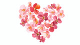 Flowers in Shape of Hearts isolated white background