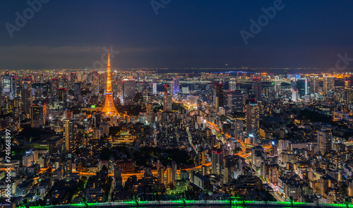 Wallpaper Mural Aerial view of the Tokyo Tower in Tokyo downtown at night, Kanto region, Japan. Torontodigital.ca