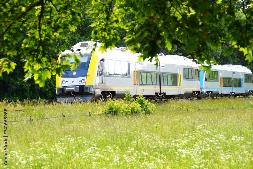The locomotive of the train moves through the edge of the forest. The locomotive of the train moves through the edge of the forest.