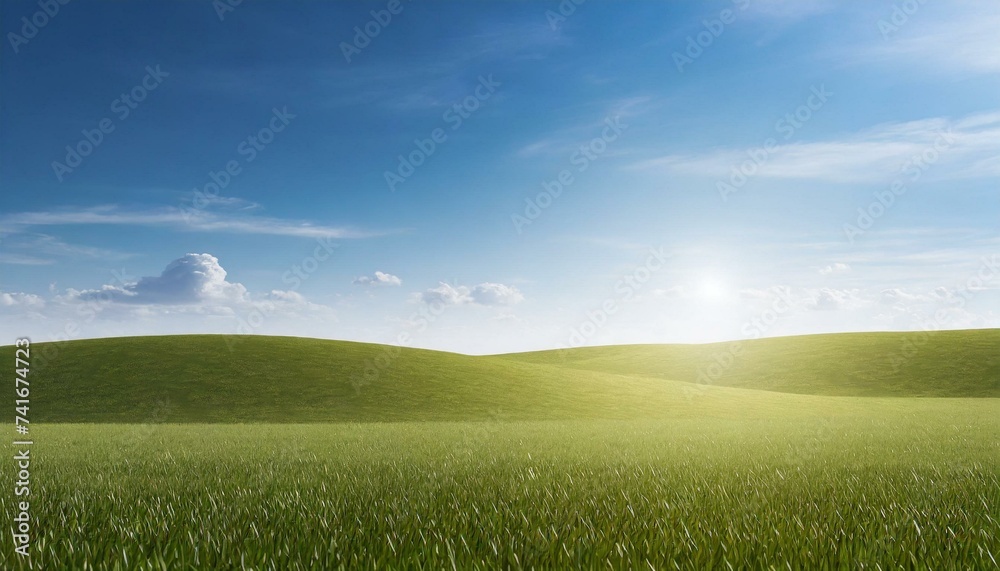 Fototapeta premium Landscape view of green grass field with blue sky background 