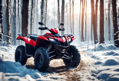 Quad bike in snow in mountains of forest.