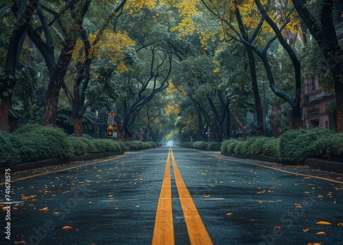 a yellow line that is drawn down the middle of a road with green trees, in the style of precisionist lines, glazed surfaces, rural china, dark gray and white, auto body works, intersecting planes
