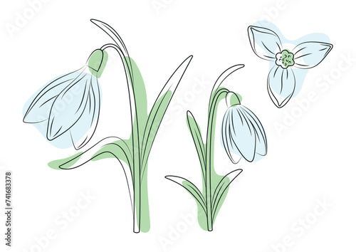 set of snowdrops on white background, isolated line art vector illustration