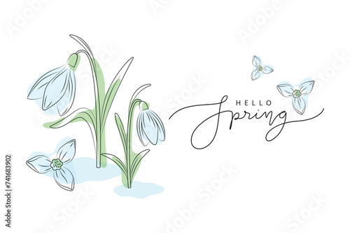 hello spring banner with spring flowers snowdrops, hand drawn vector illustration in outline style with lettering, isolated on white background