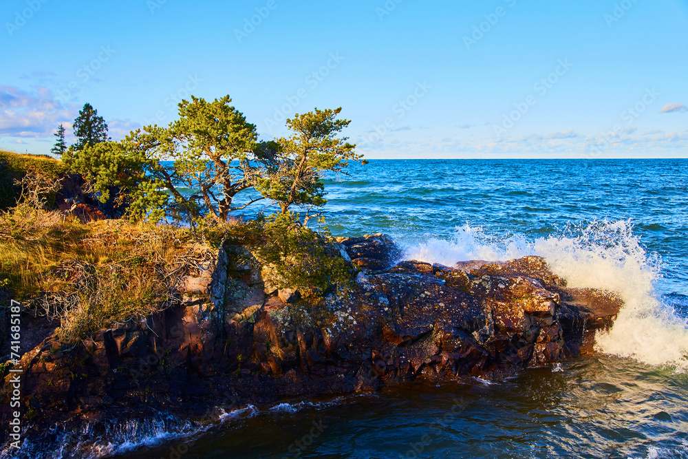 Resilient Evergreens on Rugged Lake Superior Shoreline, Eagle Harbor