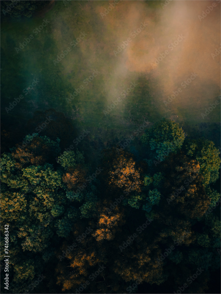 Aerial topdown drone view of the forest in Dandenong Ranges, Yarra Valley, Victoria, Australia. Aerial topdown drone view of the forest in Dandenong Ranges, Yarra Valley, Victoria, Australia.