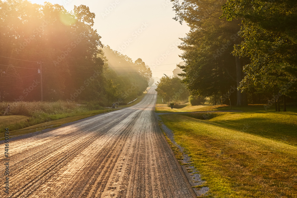 Fototapeta premium Tranquil Golden Hour on Rural Indiana Road with Lush Greenery