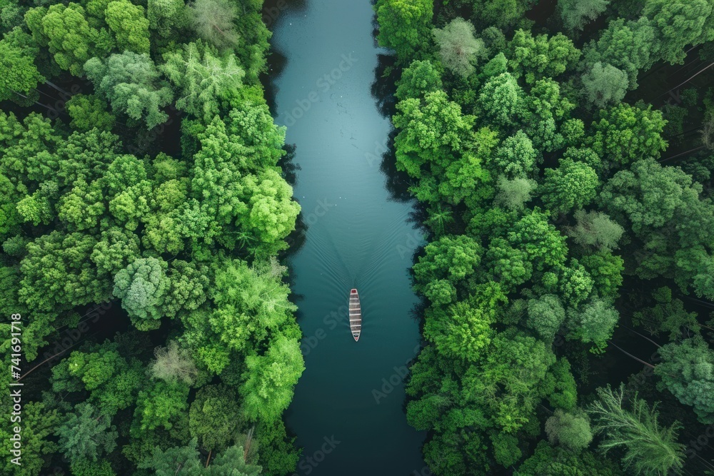 photograph of an aerial view of a river in the middle of a forest with ...