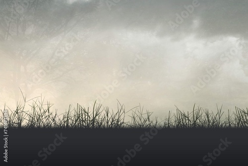 Field With Foggy Background 2