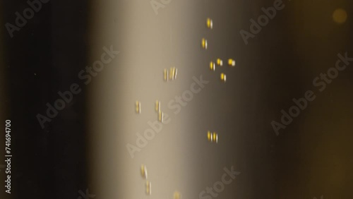 abstract. golden champagne bubbles rising. photo