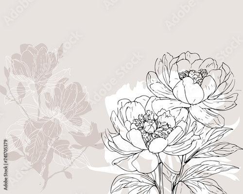 Floral Background with abstract peonies and magnolia flowers illustrations