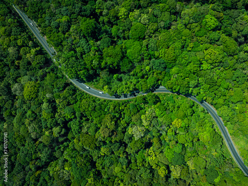 Forest road, Aerial view car in the forest on asphalt road, Car in rural road in deep rain forest with green tree forest view from above, Ecosystem ecology healthy environment road trip travel. © suriyapong