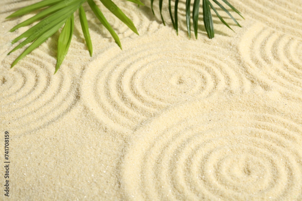 Zen rock garden. Circle patterns and green leaves on beige sand, closeup Zen rock garden. Circle patterns and green leaves on beige sand, closeup