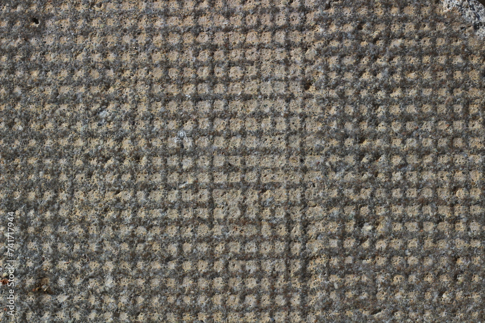 Texture Tales: Exploring the World's Diverse Surfaces Texture Tales: Exploring the World's Diverse Surfaces