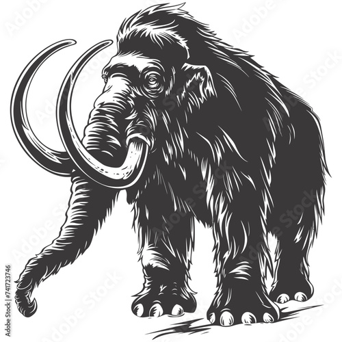 silhouette mammoth the ancient mythical prehistoric creatures black color only