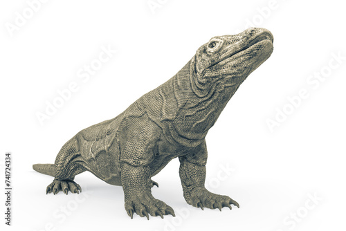 komodo dragon is looking up in white background