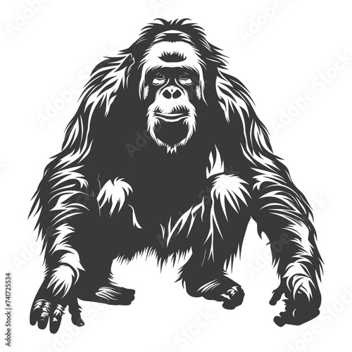silhouette orang utan animal full body black color only