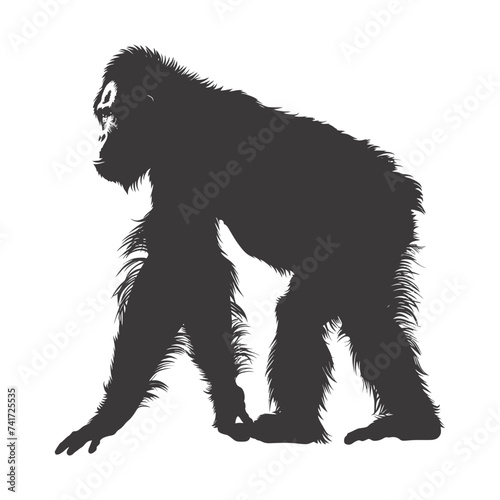 silhouette orang utan animal full body black color only