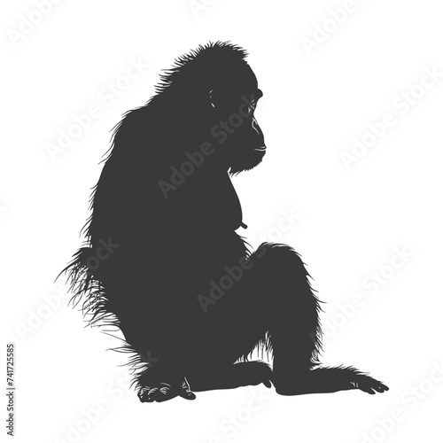 silhouette orang utan animal full body black color only