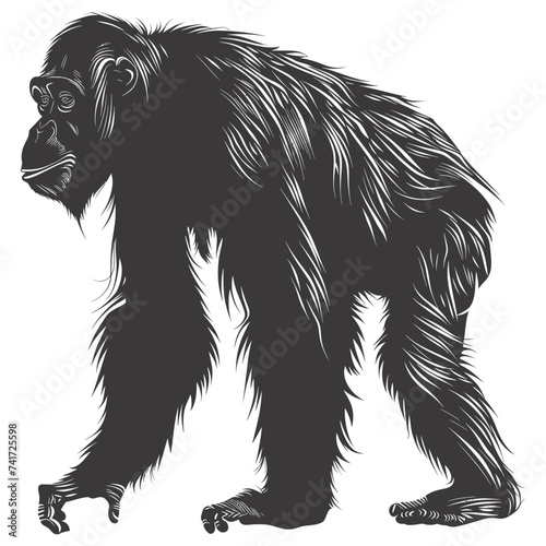 silhouette orang utan animal full body black color only