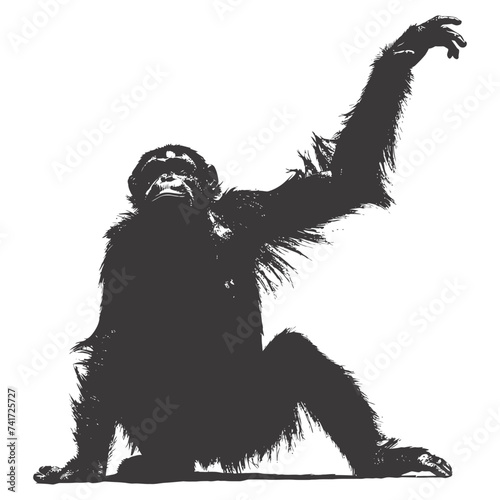 silhouette orang utan animal full body black color only