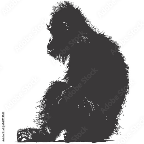 silhouette orang utan animal full body black color only