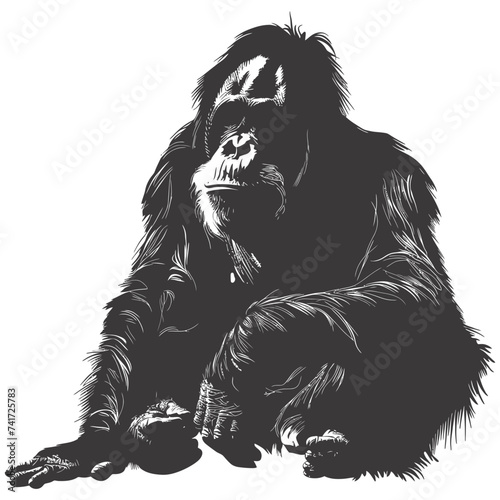 silhouette orang utan animal full body black color only