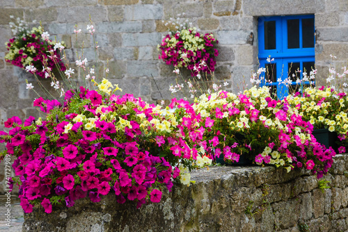 Fototapeta Naklejka Na Ścianę i Meble -  Old stone house decorated with colorful petunia flowers in medieval town Moncontour. Brittany, France.